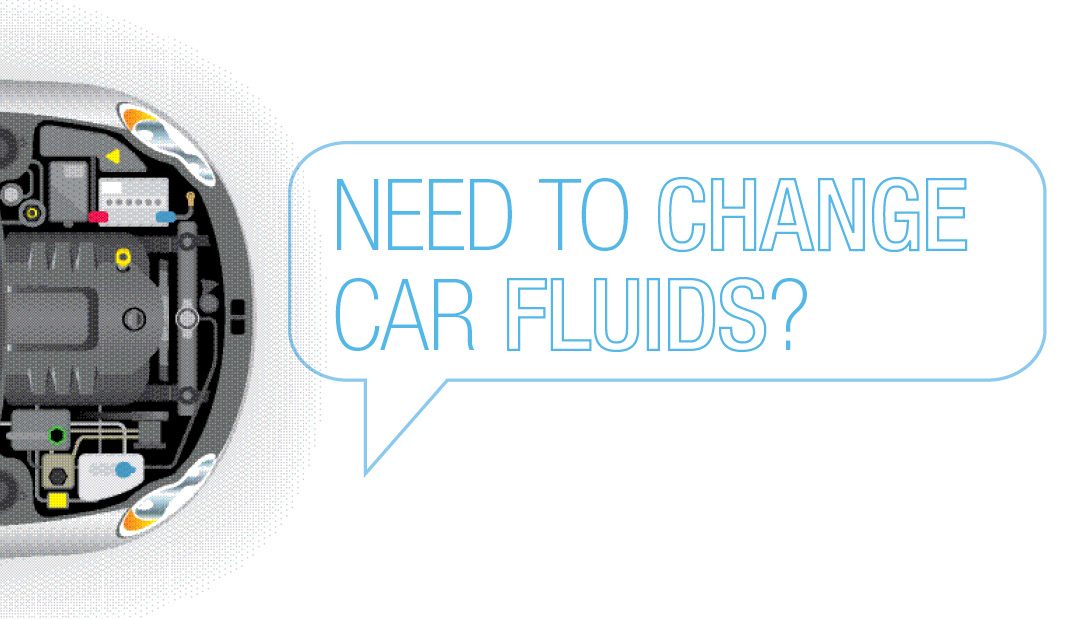 Need to Change Car Fluids?